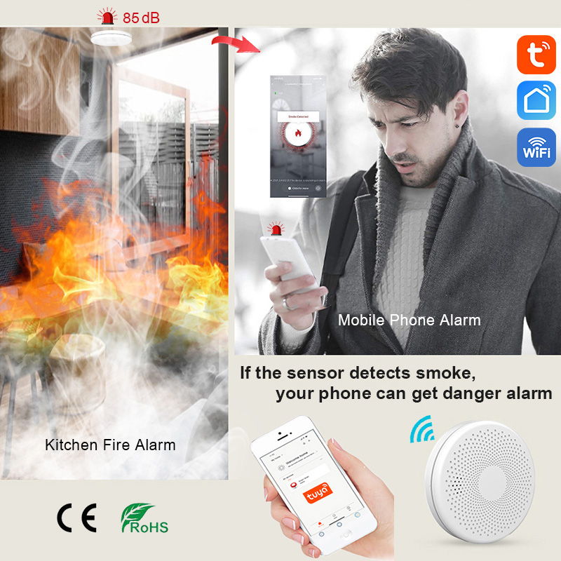 2 in 1 Version WiFi Tuya Smart - Smoke Detector Interconnected review and price