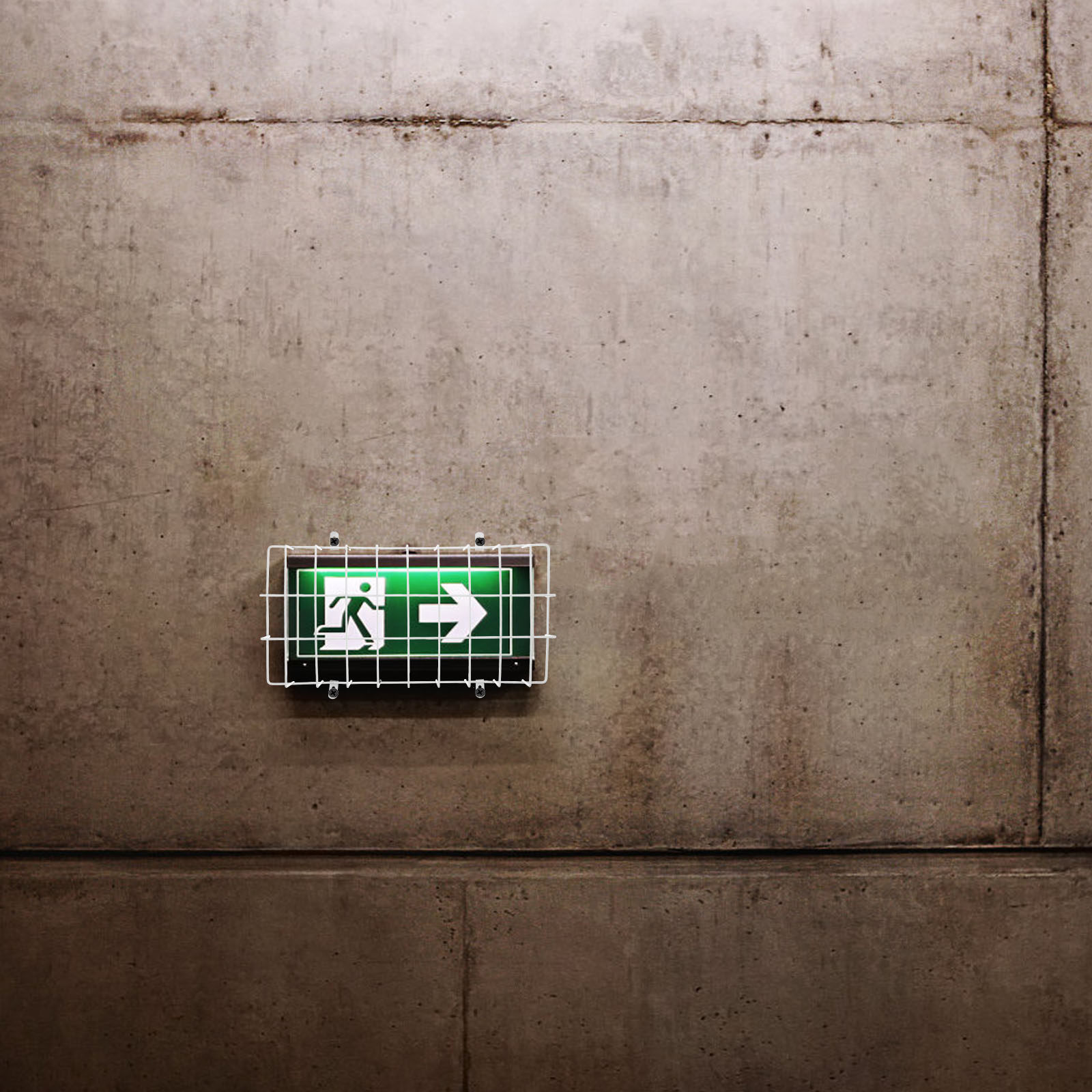 Exit Sign Wire Guard Stainless - Emergency Exit Sign review and price